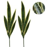 Kit 2 Espada De São Jorge Artificial Ogum Lança Sem Vaso Decoração (Verde Escuro)