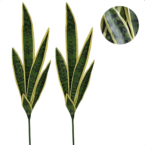 Espada de Ogum: Proteção Espiritual e a Força da Natureza